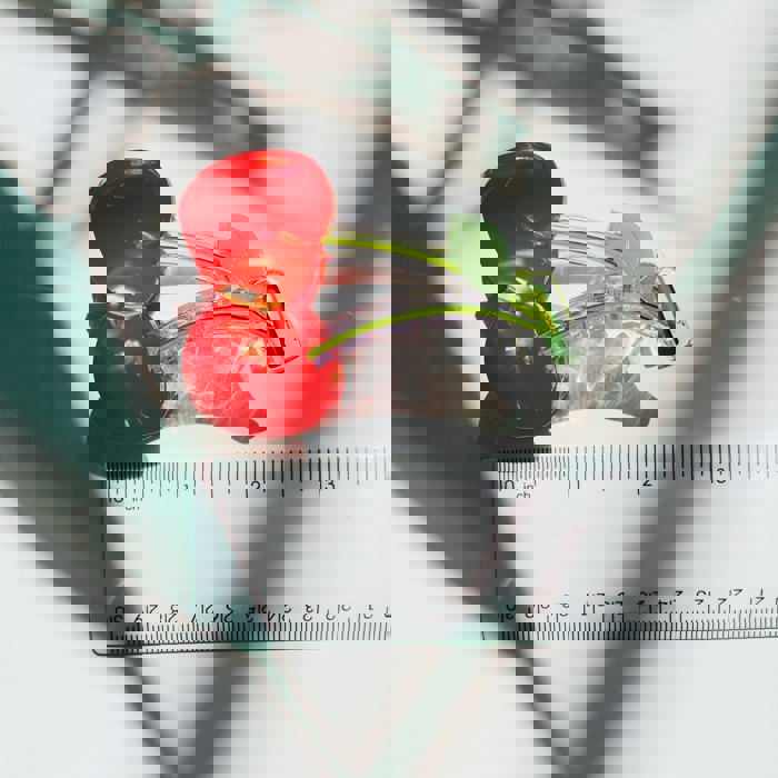 Cherries on Stem Mini Hair Claw