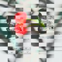  Cherries on Stem Mini Hair Claw