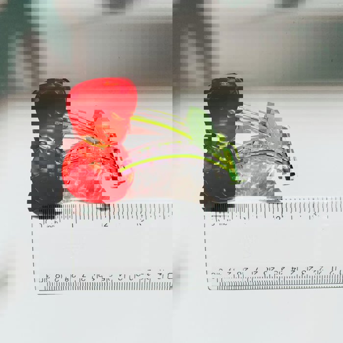 Cherries on Stem Mini Hair Claw