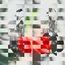  Cherries on Stem Mini Hair Claw