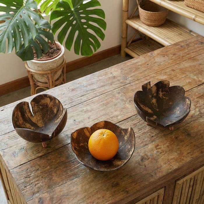 Coconut Bowls in Set of 3 | Decorative Boho Rustic Footed Bowls