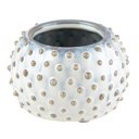  Cream Dot Pot Planter | Round Indoor Planter | Succulents, Small Plants