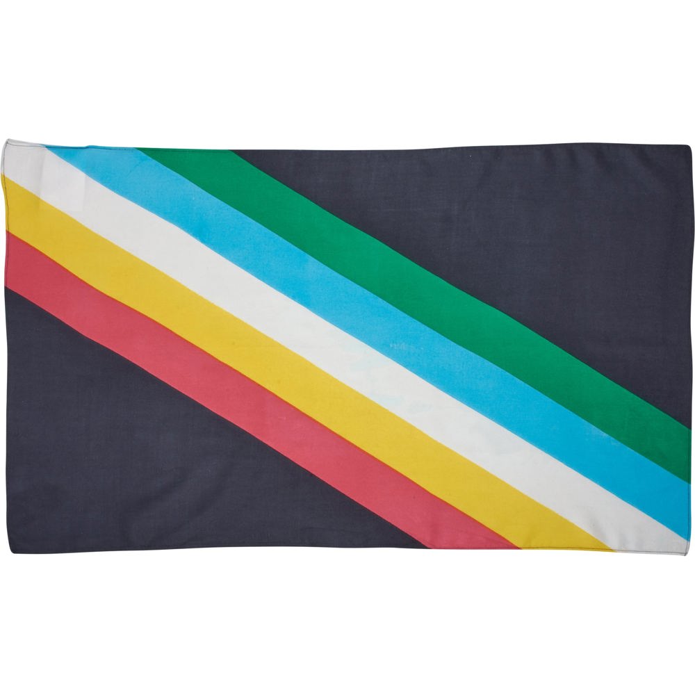 Disability Pride Small Scarf | Disability Flag Color Rainbow Stripe Bandana | 30" x 18"