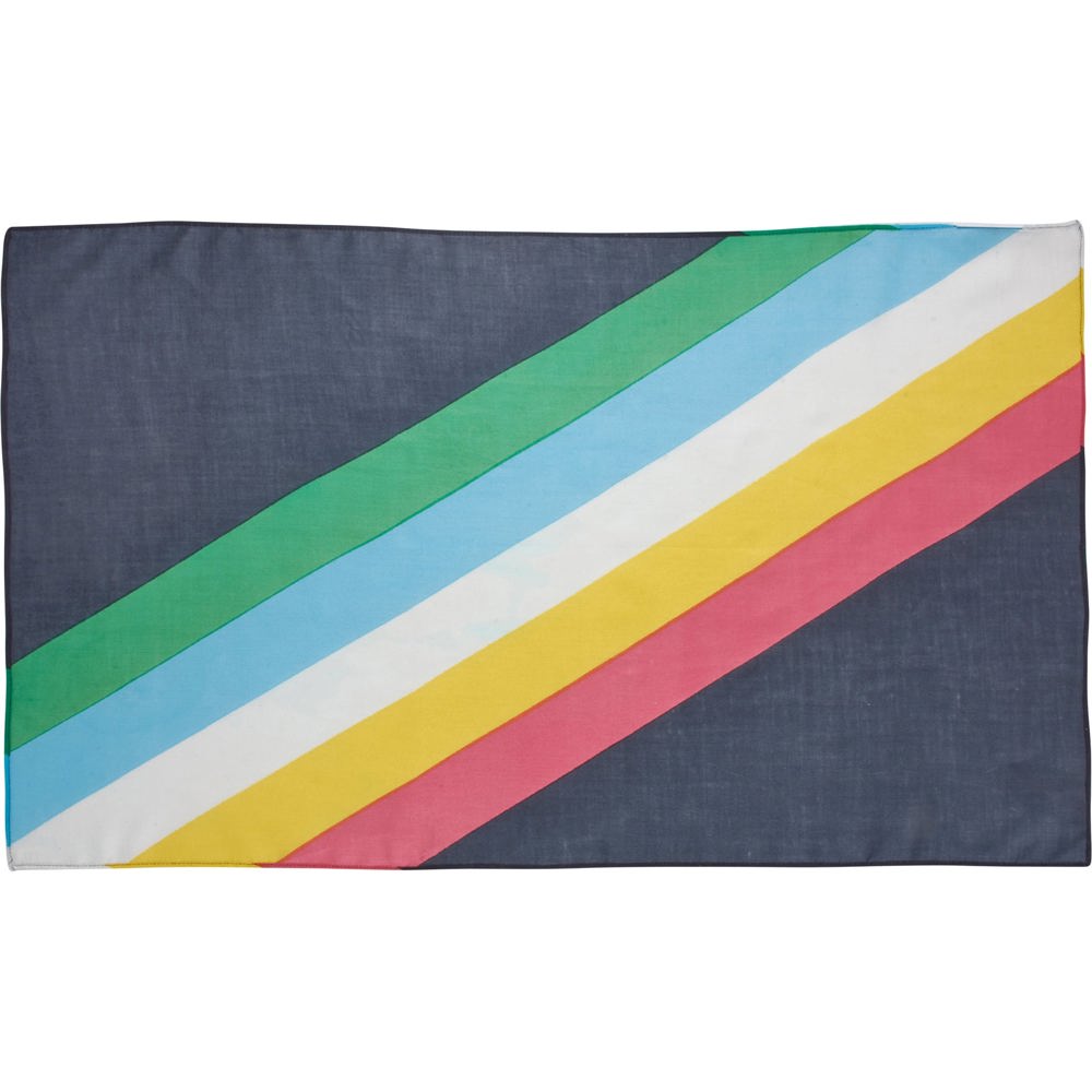 Disability Pride Small Scarf | Disability Flag Color Rainbow Stripe Bandana | 30" x 18"