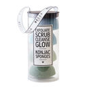  Facial Konjac Sponges in Beach Ombre Tube Pack | Giftable Skincare Beauty Kit Set