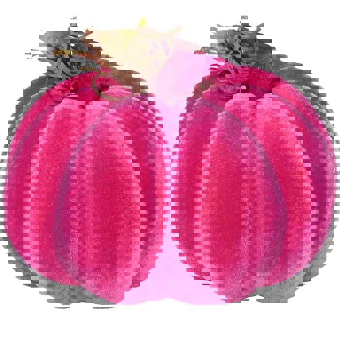 Flocked Neon Pink Pumpkin | Decorative Halloween Theme Shape Decor