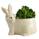 Green Rabbit Ceramic Planter | Cute Forest Bunny Shaped Succulents Flower Pot | 3" x 5" Animal Shaped Plant Pots - Fish, Zebra, Walrus, Giraffe, Hedgehog, Llama and more