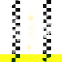  Dog Lover Doormat - "Hope You Like Dog Hair"