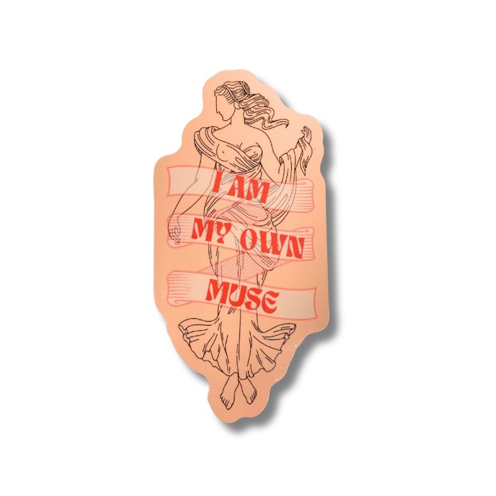 Individual Vinyl Stickers for Water Bottle, Tumbler, Laptop Case - Funny and Cute Designs