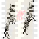  I Didn’t Ask For Much Just A Pony Dish Cloth Towel | Novelty Silly Tea Towels | Cute Kitchen Hand Towel | Christmas, Holidays | 18" x 26"