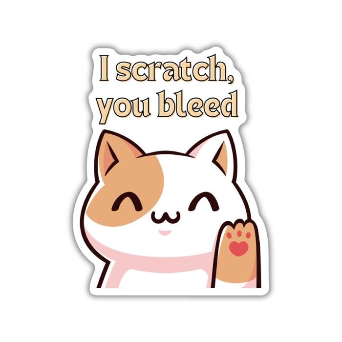 Individual Vinyl Stickers for Water Bottle, Tumbler, Laptop Case - Funny and Cute Designs