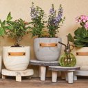  Wood Planters with Cute Sayings on Leather Tags: Late Bloomer, Flower Power, I Will Survive