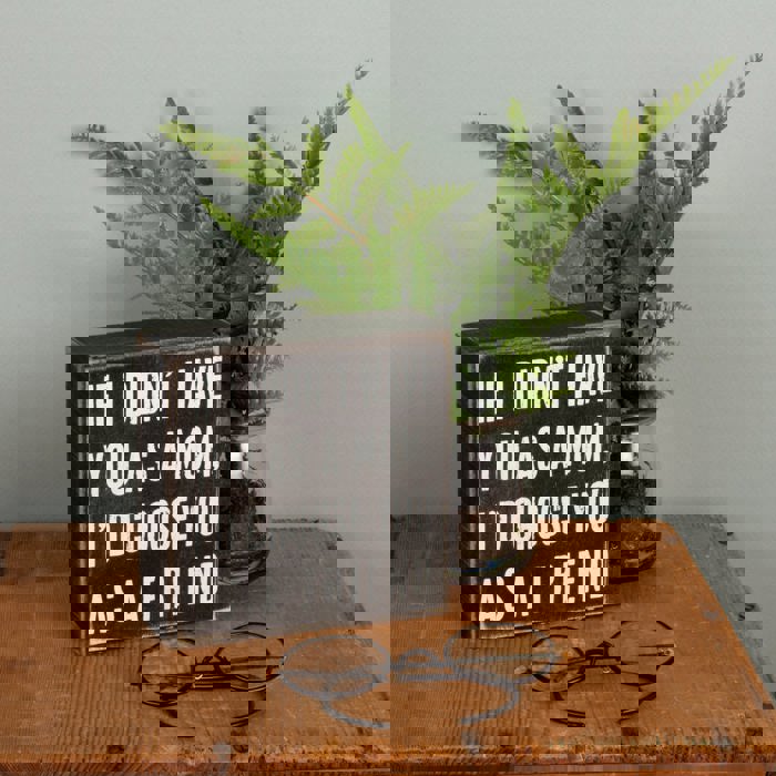 Cute and Funny Graphic Wooden Box Signs with Sayings for Gallery Walls