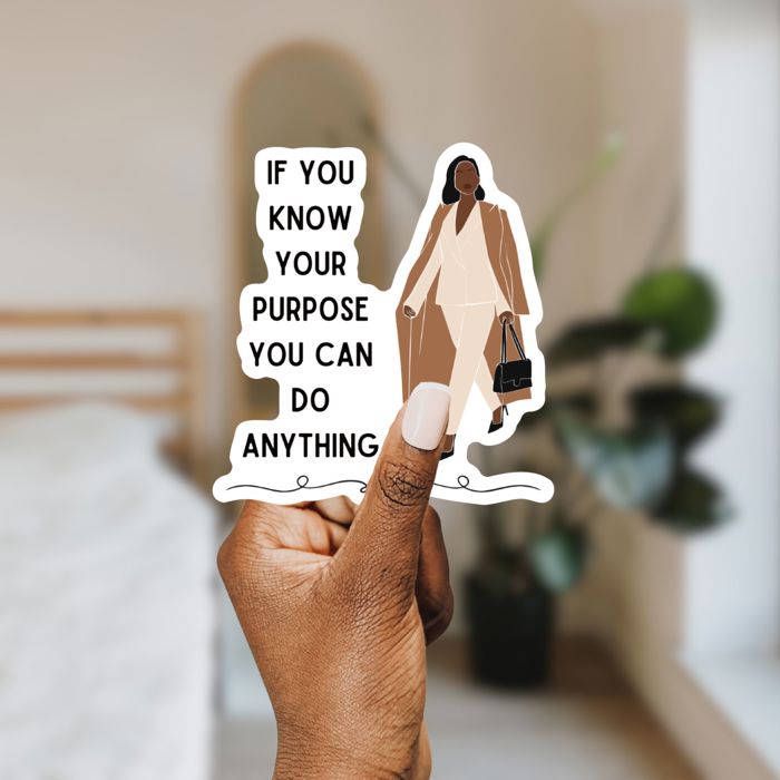 Individual Vinyl Stickers for Water Bottle, Tumbler, Laptop Case - Funny and Cute Designs
