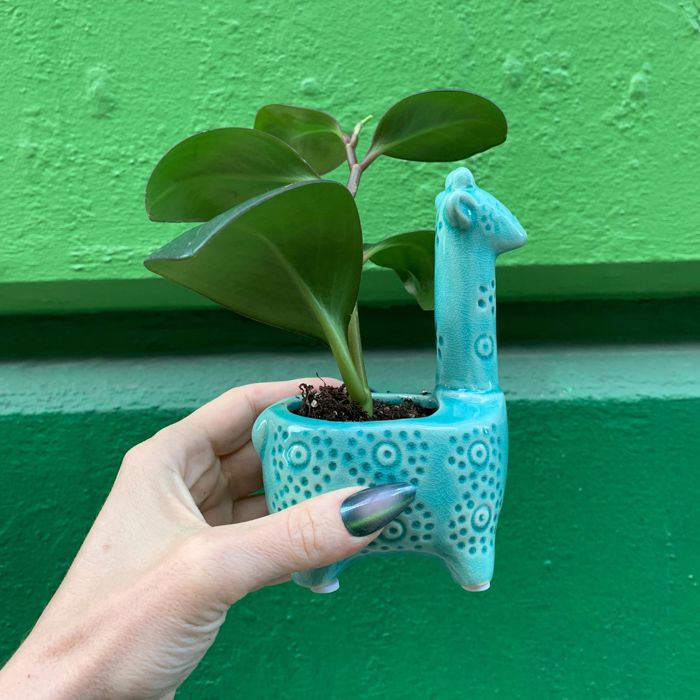 Lake Blue Giraffe Planter | Small Ceramic Succulents Pot | 6" Tall