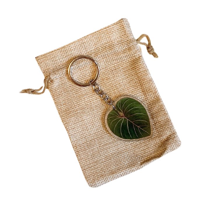 Leaf Acrylic Keychain | 6 Illustrated Styles | Double-Sided Design