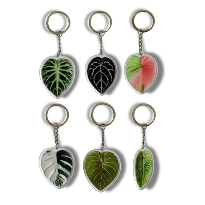 Leaf Acrylic Keychain | 6 Illustrated Styles | Double-Sided Design