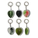  Leaf Acrylic Keychain | 6 Illustrated Styles | Double-Sided Design