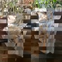  Halloween Reversible Skeletons Throw Blanket | Double-Sided Knitted Throw | 50" x 60"