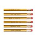  On-Point Feminist Pencil Set in Solid Gold