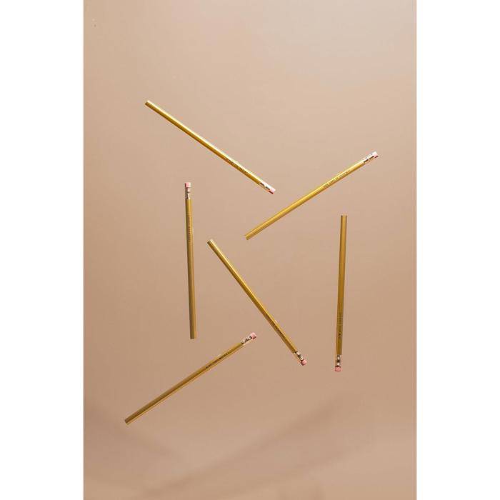 On-Point Feminist Pencil Set in Solid Gold