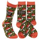  Optimistic by Nature Socks | Snail Pattern Design