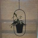  Oval Planter in Matte Black - Indoor/Outdoor Chic Minimalist