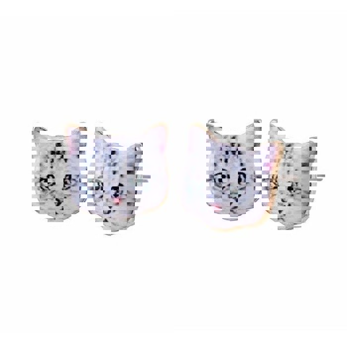 Plaintive Cat Face Stud Earrings