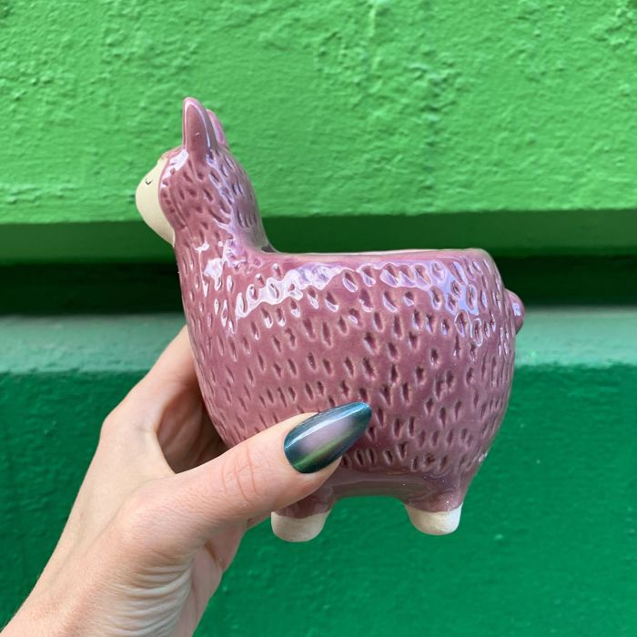 Animal Shaped Plant Pots - Fish, Zebra, Walrus, Giraffe, Hedgehog, Llama and more