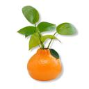  Realistic Orange Vase