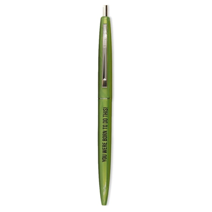 Ridiculously Motivational Pen Set of 4 in Multicolor