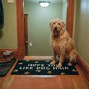  Set of 2 Hope You Like Dog Hair Indoor/Outdoor Rug | 34" x 20" | Slip-Resistant Backing