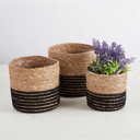  Set of 3 Mini Cylinder Basket Set | Rustic Storage with Coastal Charm