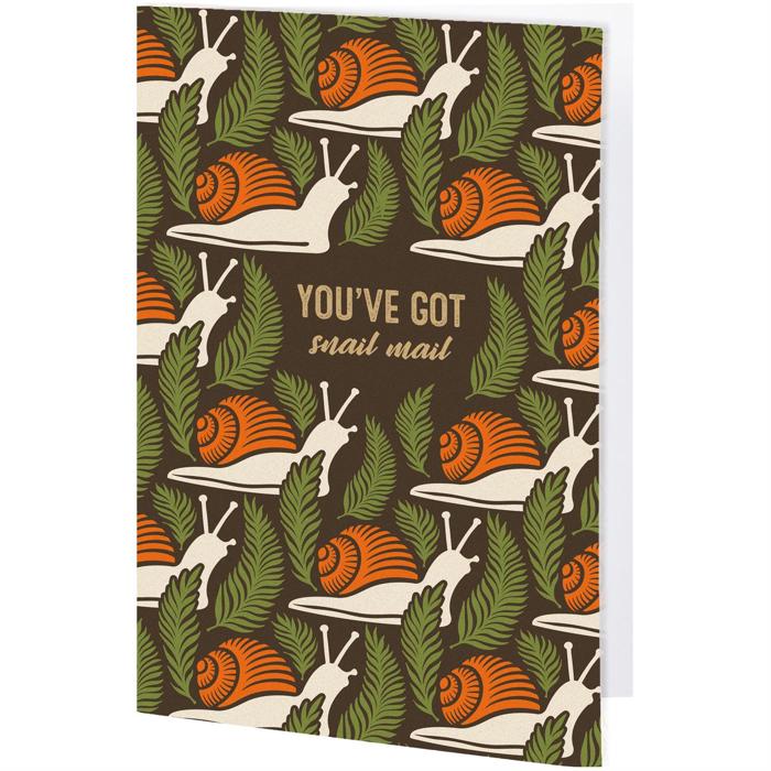 Set of 6 You've Got Snail Mail Greeting Card | Blank Inside Everyday Card