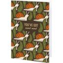  Set of 6 You've Got Snail Mail Greeting Card | Blank Inside Everyday Card