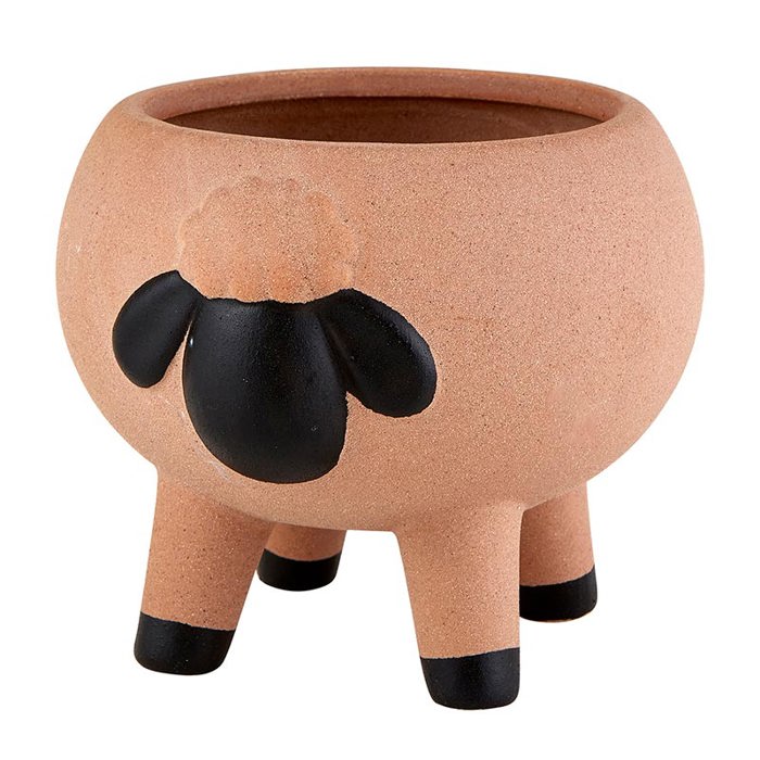 Animal Shaped Plant Pots - Fish, Zebra, Walrus, Giraffe, Hedgehog, Llama and more