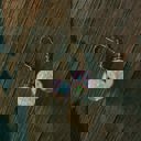  Holiday Earrings on Giftable Cards for Stocking Stuffers, Party Favors, Costume Accessories | Christmas Party | New Years