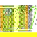  Sour Cream and Onion Candy Canes | Gift Box of 6 Funny Candy Canes