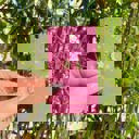  Stay Wild Moon Child Stud Earrings | Mismatched Moon and Star Earrings | Gift for Her