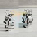  Striped Fish Mini Plant Pot | Succulent Planter | 2.2" Tall
