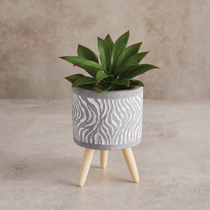 Swirl Wood Leg Pot | Cement Planter |  5.5" Tall