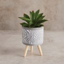  Swirl Wood Leg Pot | Cement Planter |  5.5" Tall