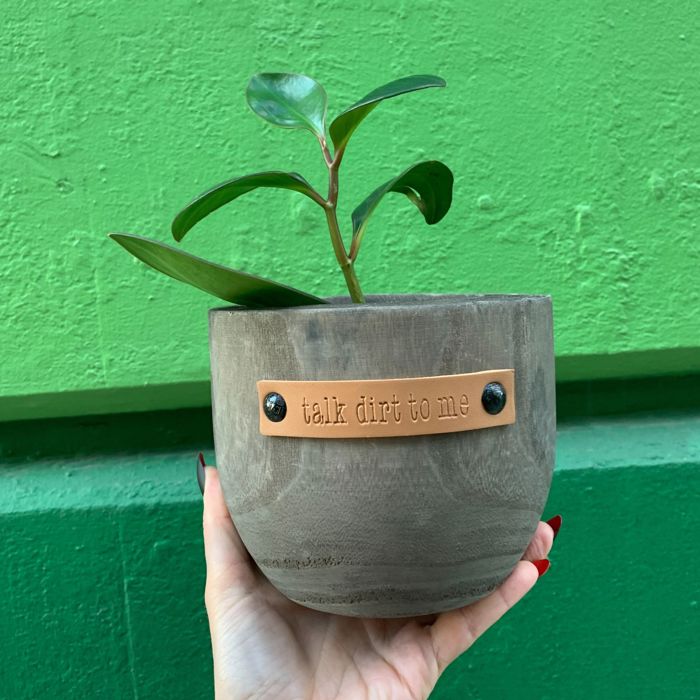 Wood Planters with Cute Sayings on Leather Tags: Late Bloomer, Flower Power, I Will Survive