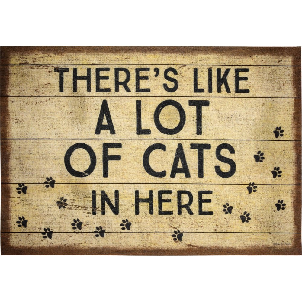 Cute Doormats - Indoor/Outdoor Rugs with Sayings