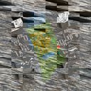  These Are My Road Trip Socks | Fun Travel-Inspired Crew Socks