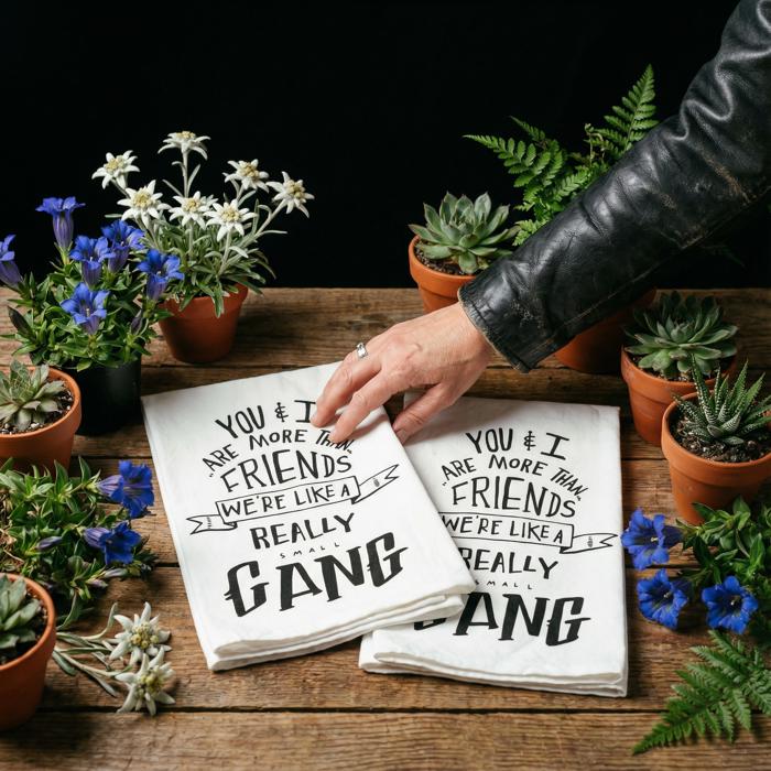 You & I Are More Than Friends, We're Like a Really Small Gang Towel and Other Funny Cute Gift Dish Tea Towels