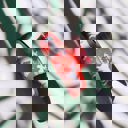  Ugly Christmas Sweater White Reindeer Hair Claw in Red | Claw Clip Hair Accessories