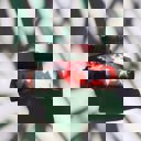  Ugly Christmas Sweater White Reindeer Hair Claw in Red | Claw Clip Hair Accessories