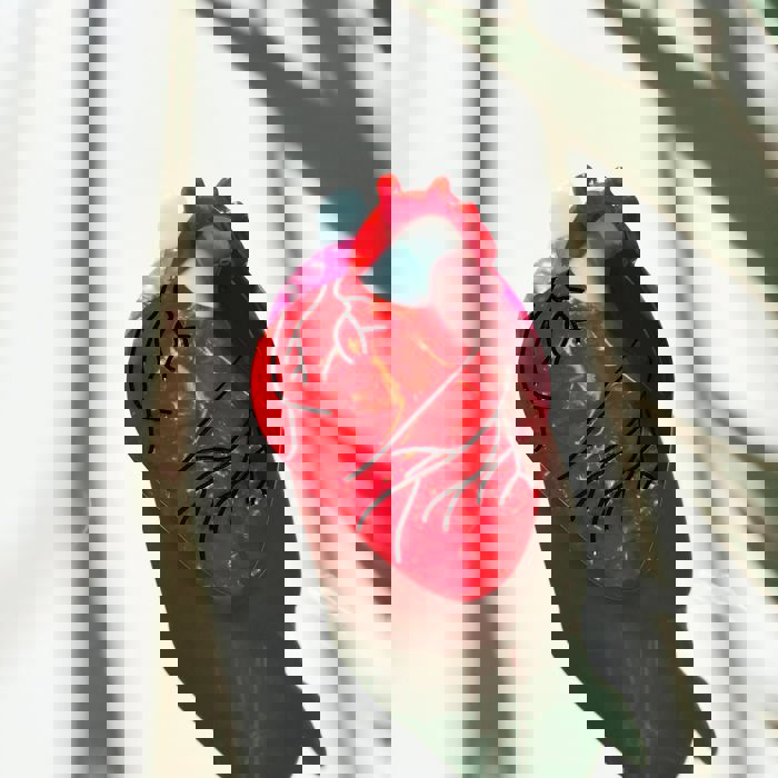 Anatomical Heart Hair Clip | Gothic Red Heart Shaped Claw Clip