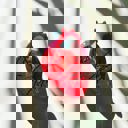  Anatomical Heart Hair Clip | Gothic Red Heart Shaped Claw Clip